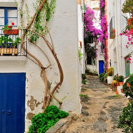 Apartment Avec Vue Exceptionnelle Sur Cerbere
