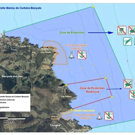 Avec Vue Exceptionnelle Sur Appartement Cerbère
